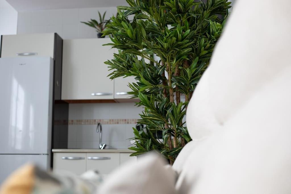 Trinidad Aparment Appartement Málaga Buitenkant foto